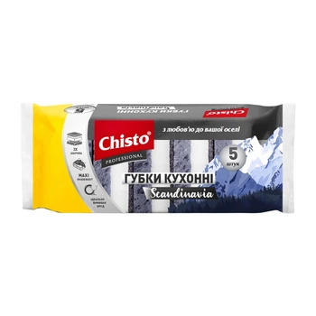 Губка кухонна Chisto Scandinavia 5 шт