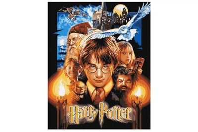 Набор для росписи по номерам 40x50 см KHO8716 "Harry Potter: Постер" с красками металлик Ideyka