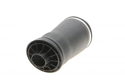 Подушка пневмопідвіски (ззаду) MB R-class (W251/V251) 06-14 A-2597 , Mercedes-Benz