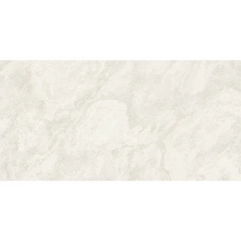 Керамограніт Imola The Rock ARDESI6 12 RM 60x120 см