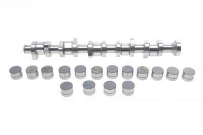 Комплект распредвала VW T5 2.5TDI 03-10 96/128kw 428004430 , Schaeffler INA