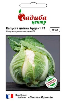 Капуста цветная Ардент F1, 10 шт., СЦ