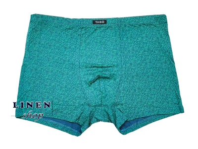 Бирюзовые мужские трусы шорты модал Colour style TASO 5847 2ХL