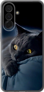 Чохол для Samsung Galaxy A27, Димчастий кіт
