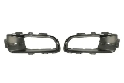 Елементи капота BLIC 6502070096980P BMW X5 51117172450SET