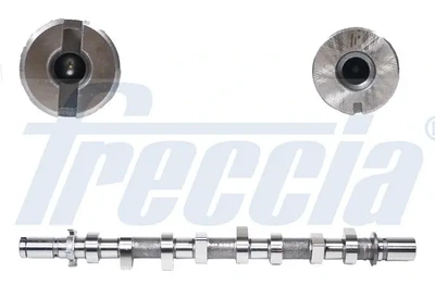 Розподільний вал FRECCIA CM052185 Dacia Duster, Logan; Renault Clio, Megane, Kangoo, Grand Scenic, Scenic, Fluence; Nissan Micra, Kubistar, Almera; Mercedes B-Class, A-Class, GLA-Class; Suzuki Jimny 1300100Q0T, 8200679572, 8201004849