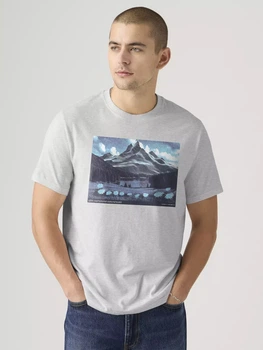 Футболка длинная хлопковая мужская Levi`s 749219726 2XL Серая с принтом (1160823575)