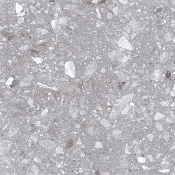 Керамогранітна плитка Allore Group Cosmic Light grey F P NR Mat 47х47