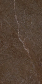 Керамогранітна плитка Allore Group Mariya Brown F P R Mat 60x120