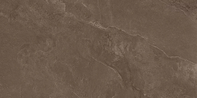Керамогранітна плитка Coffee Field Brown SZKL RECT MAT 598x1198 Paradyz