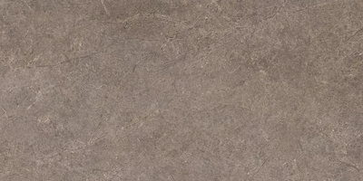 Керамогранітна плитка Urban Champagne Naturale SZKL RECT STR MAT 598x1198 Paradyz