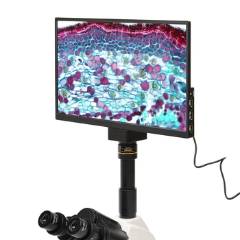 Відеосистема для мікроскопа SIGETA MCAM4K Viewer HD 13.3" HDMI