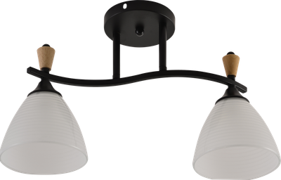 Люстра потолочная Light House SRS-20715/2 черный + дерево, плафон белый