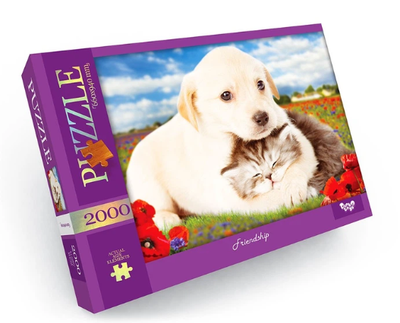 Пазлы 2000эл. C2000-01-09 Danko toys 94х66см.