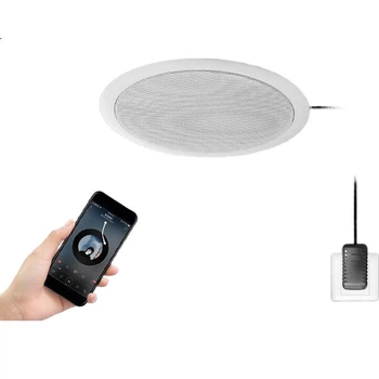 Комплект беспроводных потолочных колонок Newmine G-6 с Bluetooth, для дома и магазина, для фоновой музыки, коаксиальный подвесной потолочный динамик (5 дюймов, один разъем).