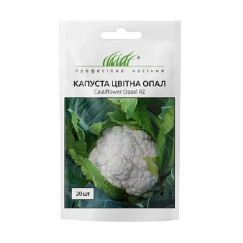 Капуста цветная Опал, 20 шт