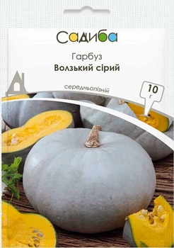 Гарбуз Волзький сірий 10 г Традиція