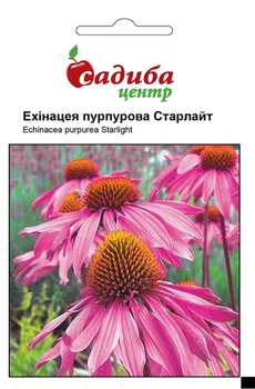 Ехінацея Старлайт пурпурова, 0,1 г, СЦ