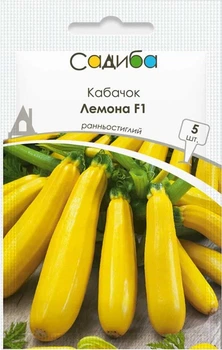 Кабачок Лемона F1, Садиба