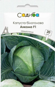 Капуста белокочанная Анкома F1, 20 шт., Садиба