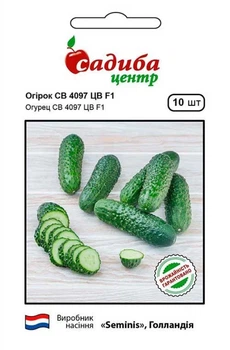 Огурец СВ 4097 F1, 10 шт., СЦ