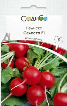 Редис Селеста F1, 2 г, Садиба