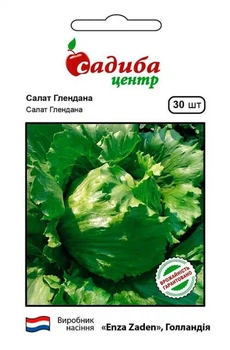Салат айсберг Глендона, 30 шт., СЦ