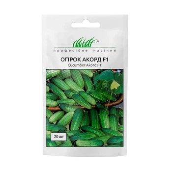 Огірок Аккорд F1 Bejo Zaden 20 шт