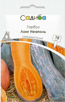 Тыква Лонг Неаполь, 10 шт., Садиба