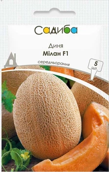 Диня Мілан F1, 5 шт., СЦ