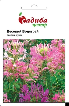 Клеома Веселый фонтан смесь, 0,3 г, СЦ