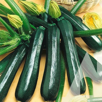 Кабачок Черный красавец, 500 г, СЦ