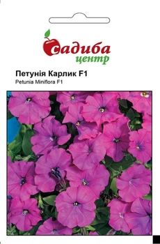 Петунія Карлик фіолетова F1 10 гранул СЦ