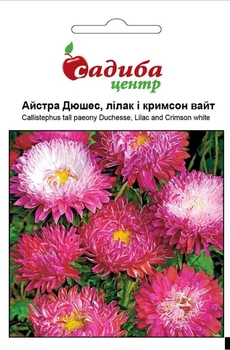 Айстра Дюшес Лілак і Кримсон вайт, 0,2 г, СЦ