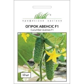 Огірок Авенсис F1 NongWoo Bio 10 шт
