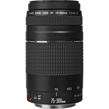 Объектив Canon EF 75-300mm f/4-5.6 III (6473A0150) [171538]