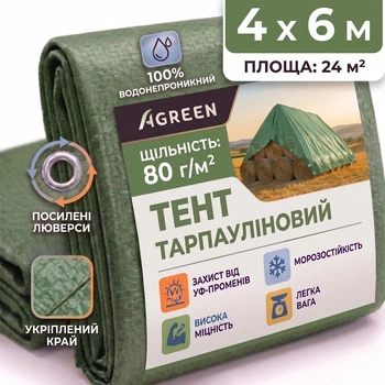 Тент Agreen 4х6м 80г/м² з люверсами тарпаулін темно-зелений 56611
