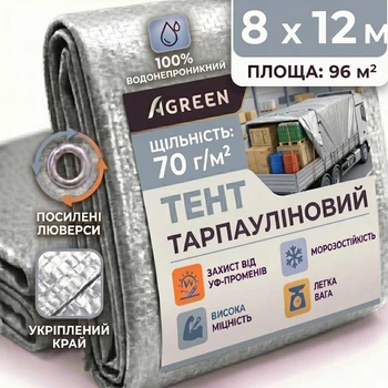 Тент Agreen 8х12м 70г/м² з люверсами тарпаулін сріблястий 10705054