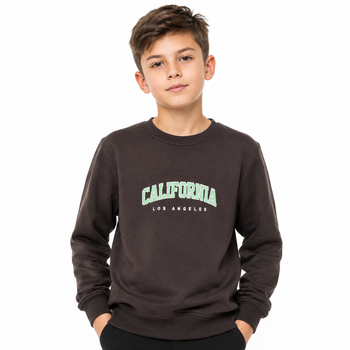 Свитшот подростковый California 134-140 см (2742-324)