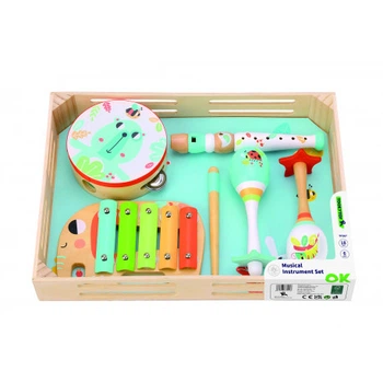 Музичний набір для дітей Tooky Toy TF567