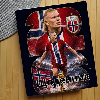 Дневник Ерлинг Холанн Erling Haaland (31569)