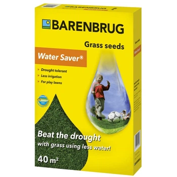 Газонна трава посухостійка Barenbrug Water Saver 1 кг Сонячна, насіння трави