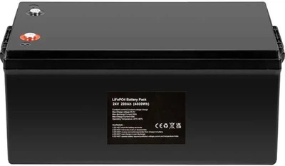 Аккумуляторная батарея PowerPlant 24V 200Ah (LFP24200)