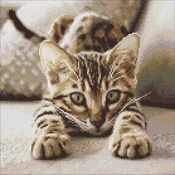 Алмазная мозаика Игривый котенок ©art_selena_ua 40x40 AMO20280 Идейка