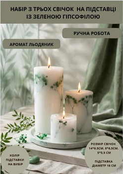 Свечи ароматические парафиновые набор свечей ароматичних арома свеча ручной работы декоративные ароматизированные свечи 3 шт на подставке с веточками зеленой гипсофилы аромат леденец