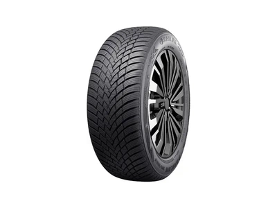 Зимова шина Sailun Ice Blazer Alpine 2 205/50 R17 93V