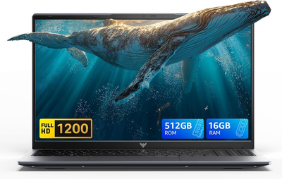 Ноутбук 16" ACEMAGIC LX16 PRO AMD Ryzen 3 4300U RAM 16GB SSD 512GB Windows 11 Алюмінієвий корпус (UKR) (102263802)