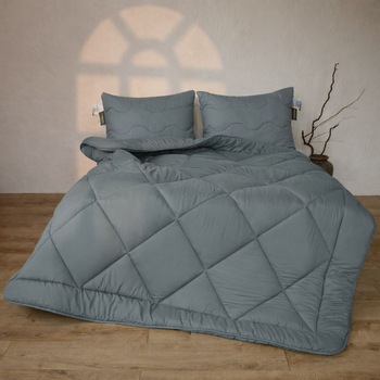 Набір антиалергенний 3M ТМ THINSULATE ТМ Супер Теплий Eco Light Gray №9033 (ковдра + подушки 50*70 середні) 140*205+2*50*70