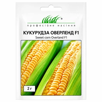Насіння Кукурудза цукрова Оверленд F1 20 шт