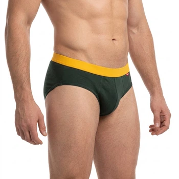 Мужские трусы Roober 69482 2XL брифы хаки однотонные